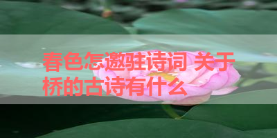 春色怎邀驻诗词 关于桥的古诗有什么 
