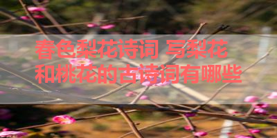 春色梨花诗词 写梨花和桃花的古诗词有哪些 