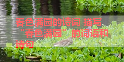 春色满园的诗词 描写“春色满园”的词语和诗句 