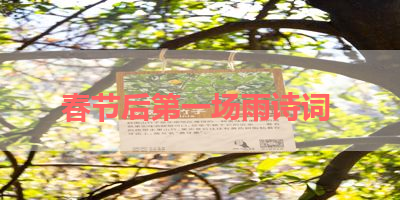 春节后第一场雨诗词 