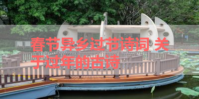 春节异乡过节诗词 关于过年的古诗 