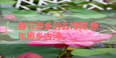 春节思乡的古诗词 新年思乡古诗