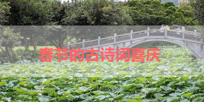 春节的古诗词喜庆 