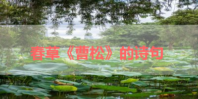 春草《曹松》的诗句 