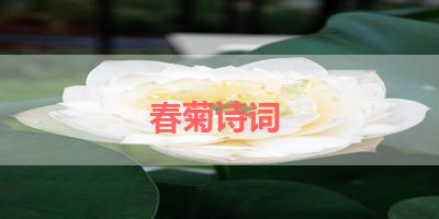 春菊诗词 