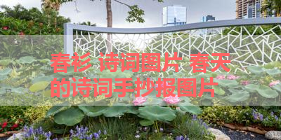 春衫 诗词图片 春天的诗词手抄报图片