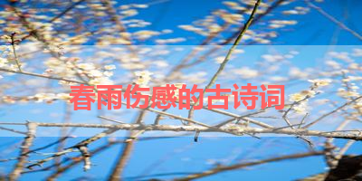 春雨伤感的古诗词 