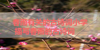 春雨有关的古诗词小学 描写春雨的古诗词