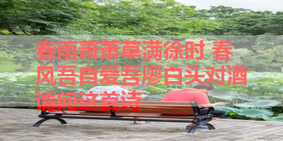 春雨萧萧草满徐时 春风吾自爱吾廖白头对酒请问这首诗 
