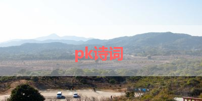 pk诗词 