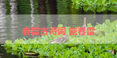 春雷古诗词 密春雷