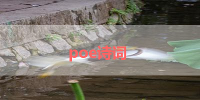 poe诗词 