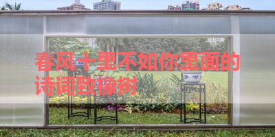 春风十里不如你里面的诗词致橡树 