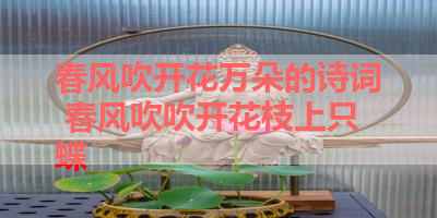春风吹开花万朵的诗词 春风吹吹开花枝上只蝶