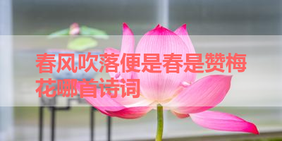 春风吹落便是春是赞梅花哪首诗词 