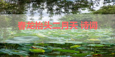 春龙抬头二月天 诗词 