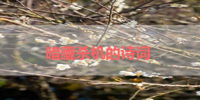 暗藏杀机的诗词 