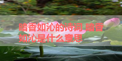 暗香如沁的诗词 暗香如沁是什么意思 