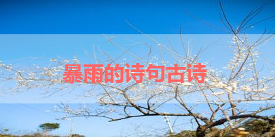 暴雨的诗句古诗 
