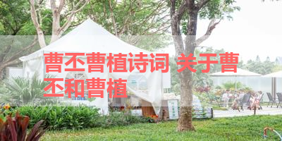 曹丕曹植诗词 关于曹丕和曹植