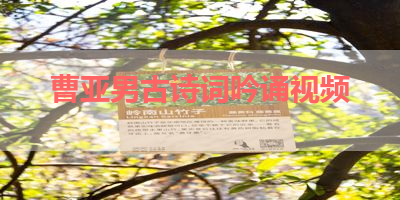 曹亚男古诗词吟诵视频 