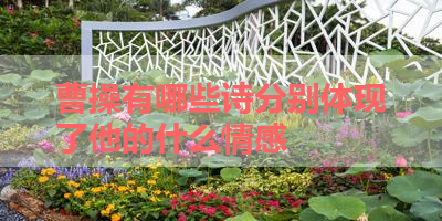 曹操有哪些诗分别体现了他的什么情感 