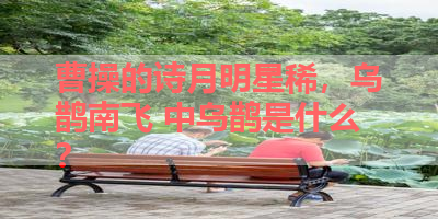 曹操的诗月明星稀，乌鹊南飞 中乌鹊是什么？ 
