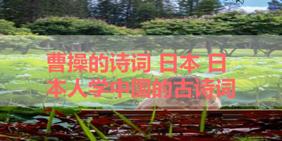 曹操的诗词 日本 日本人学中国的古诗词