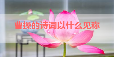 曹操的诗词以什么见称 