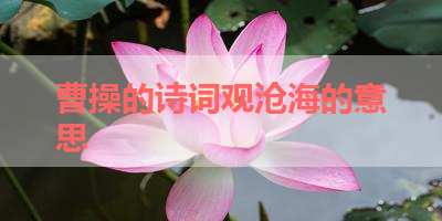 曹操的诗词观沧海的意思 