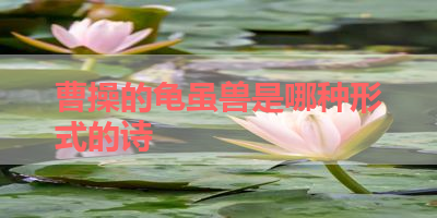 曹操的龟虽兽是哪种形式的诗 