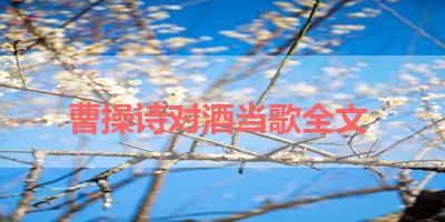 曹操诗对酒当歌全文 