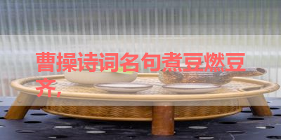 曹操诗词名句煮豆燃豆齐, 