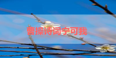 曹操诗词宁可我 