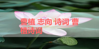 曹植 志向 诗词 曹植诗词