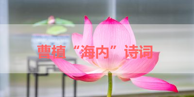 曹植“海内”诗词 