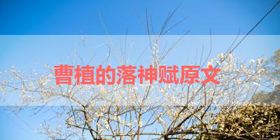 曹植的落神赋原文 