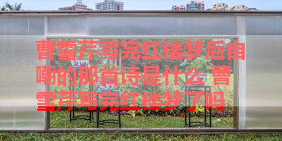 曹雪芹写完红楼梦后自嘲的那首诗是什么 曹雪芹写完红楼梦了吗