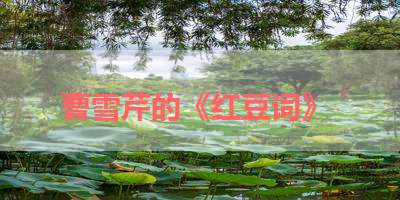 曹雪芹的《红豆词》 