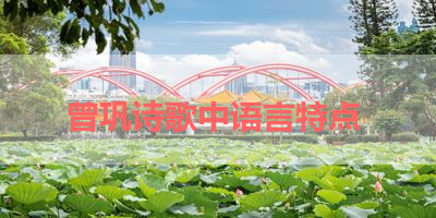 曾巩诗歌中语言特点 