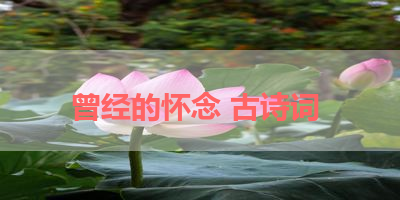 曾经的怀念 古诗词 