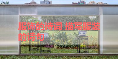 服饰的诗词 描写服装的诗句 