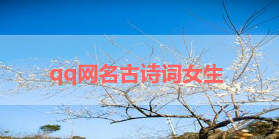 qq网名古诗词女生 