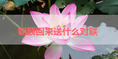 朝觐回来送什么对联 