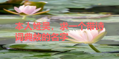 本人姓吴，求一个带诗词典故的名字 