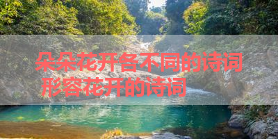朵朵花开各不同的诗词 形容花开的诗词