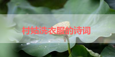 村姑洗衣服的诗词 