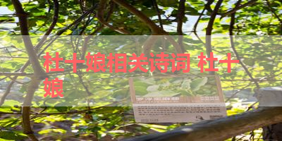 杜十娘相关诗词 杜十娘