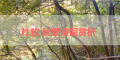 杜牧 秋思诗词赏析 