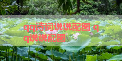 qq诗词说说配图 qq说说配图